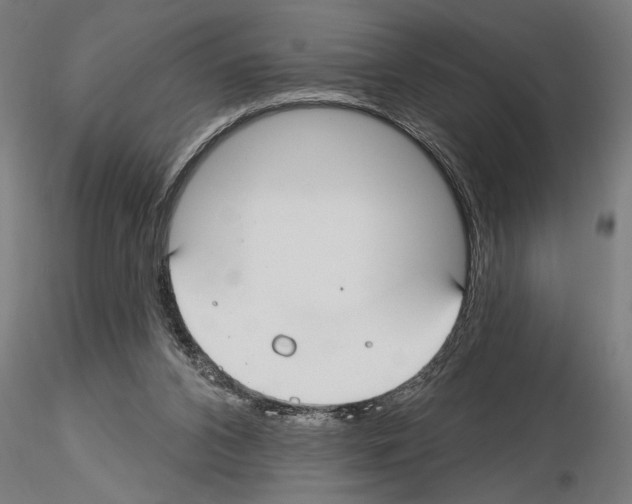 X0000115250112200912111126