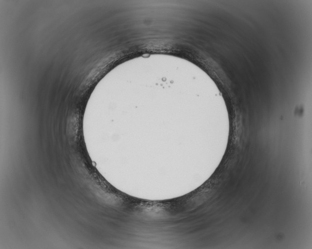X0000115250113200912111126