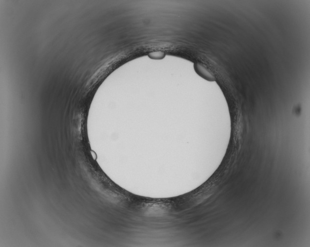 X0000115250115200912111126