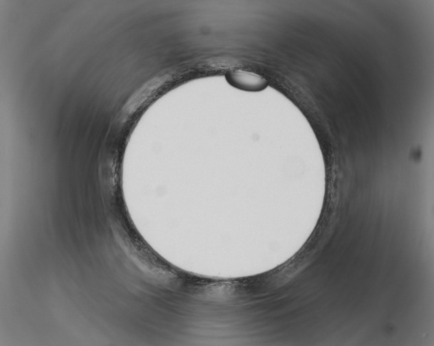 X0000115250116200912111126