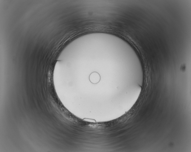 X0000115250117200912111126