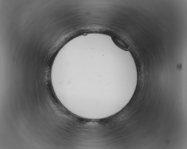 X0000115250119200912111126