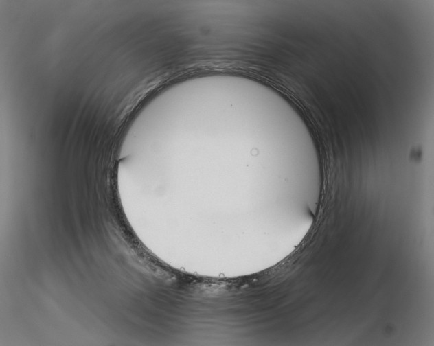 X0000115250120200912111126