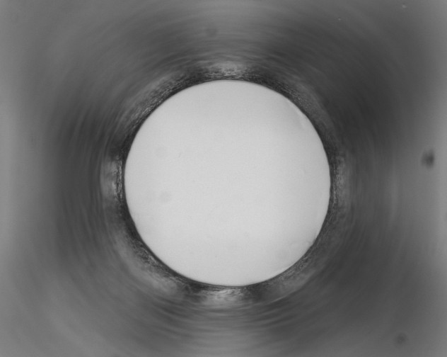 X0000115250122200912111126