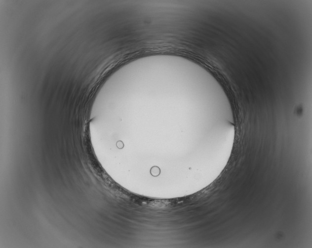 X0000115250124200912111126