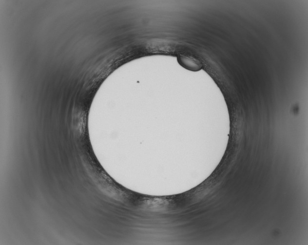 X0000115250125200912111126