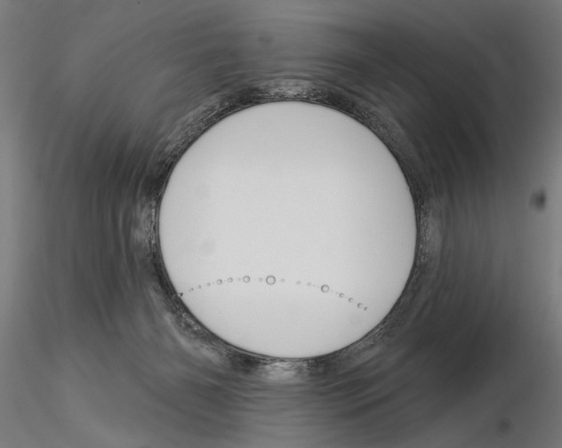 X0000115250126200912111126