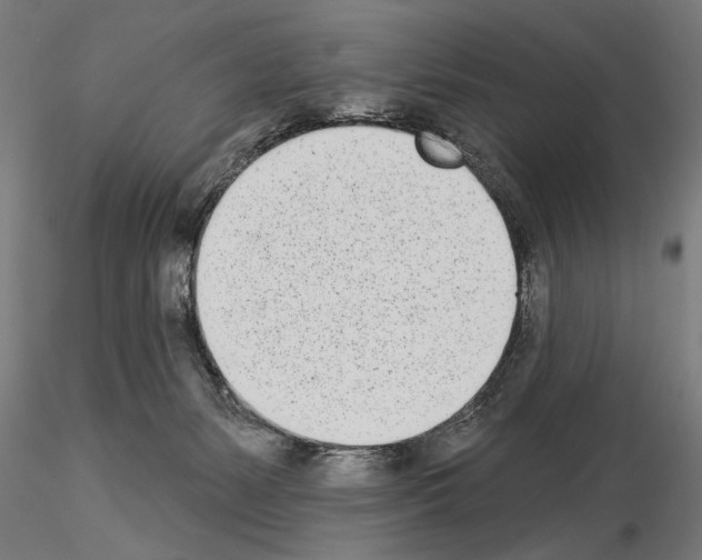 X0000115250127200912111126