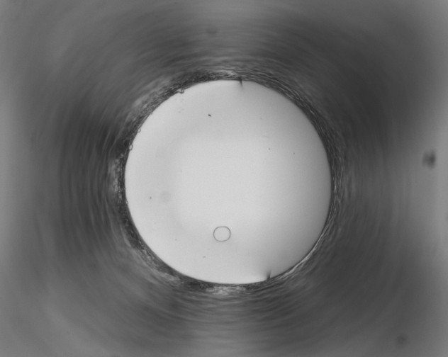 X0000115250128200912111126