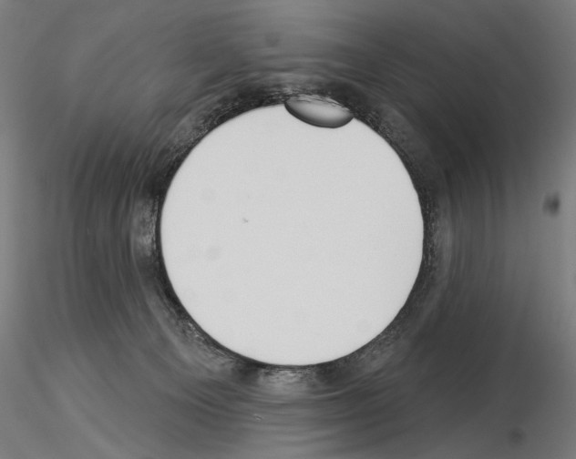 X0000115250129200912111126