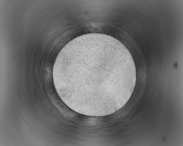 X0000115250130200912111126