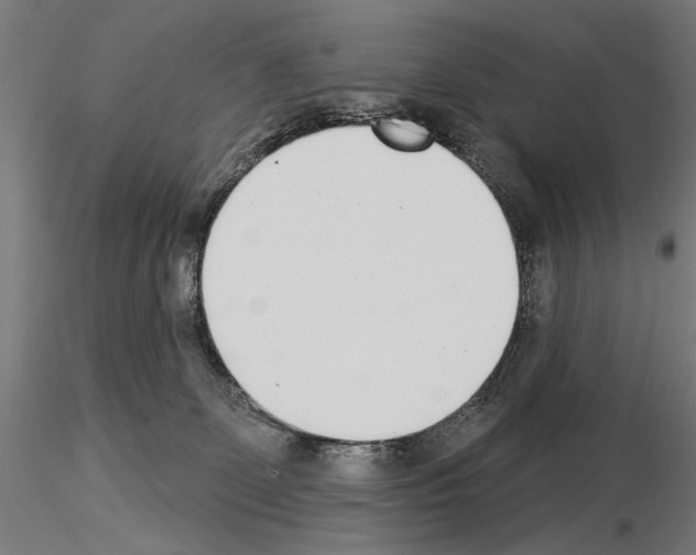 X0000115250131200912111126