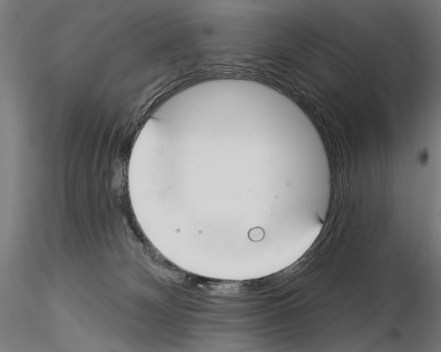 X0000115250132200912111126