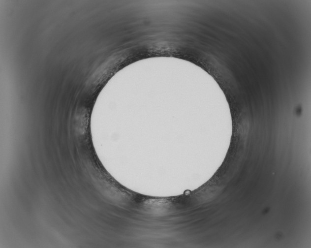 X0000115250133200912111126