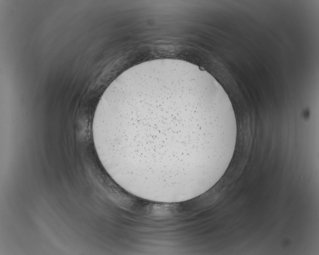 X0000115250134200912111126