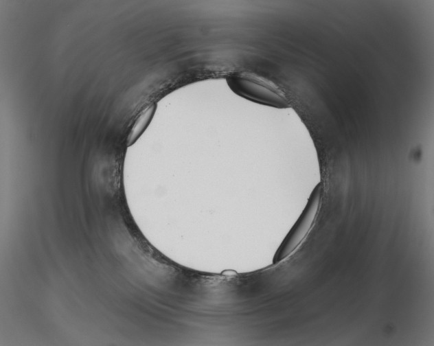 X0000115250136200912111126