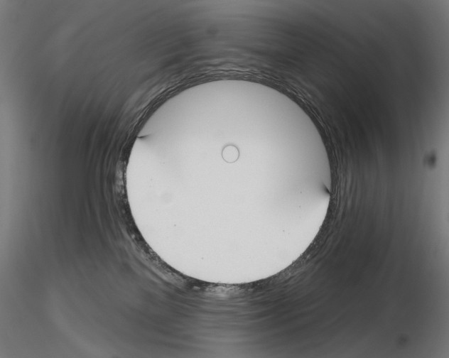 X0000115250137200912111126