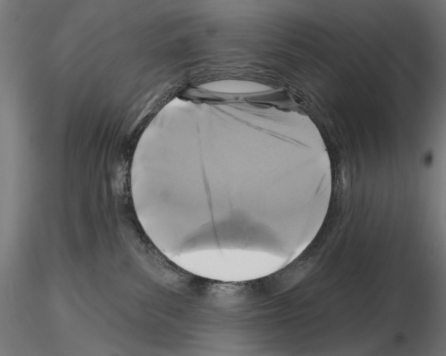 X0000115250139200912111126