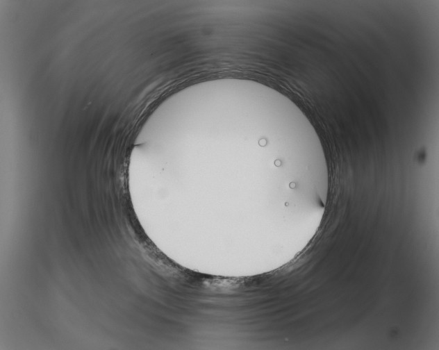 X0000115250140200912111125