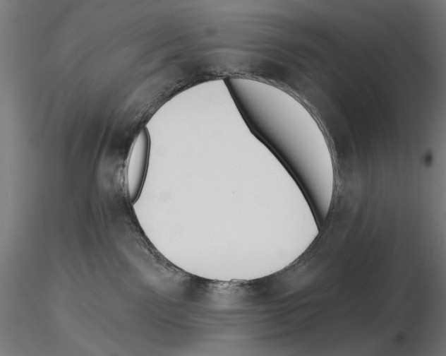 X0000115250141200912111125