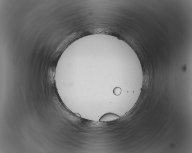 X0000115250142200912111125