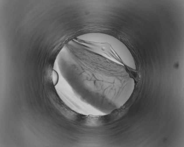 X0000115250143200912111125