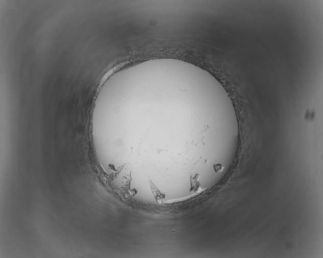 X0000115250144200912111125