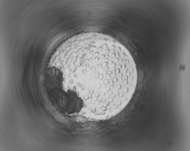 X0000115250145200912111125