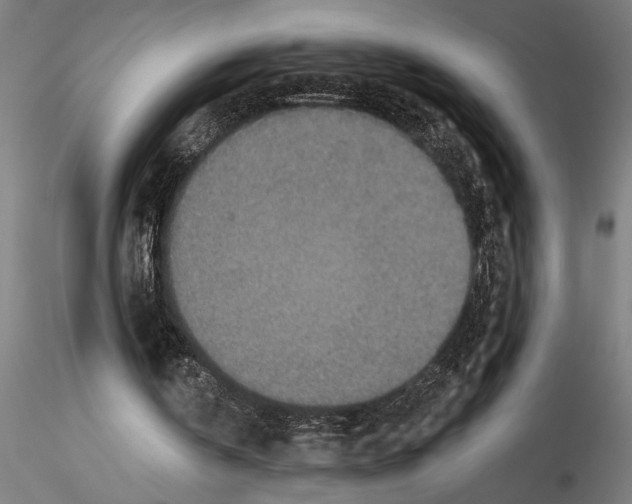 X0000115250146200912111125