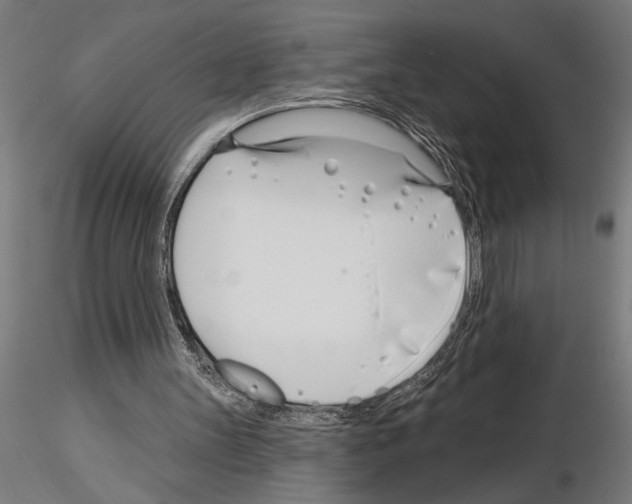 X0000115250147200912111125