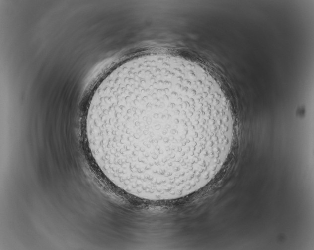 X0000115250149200912111125