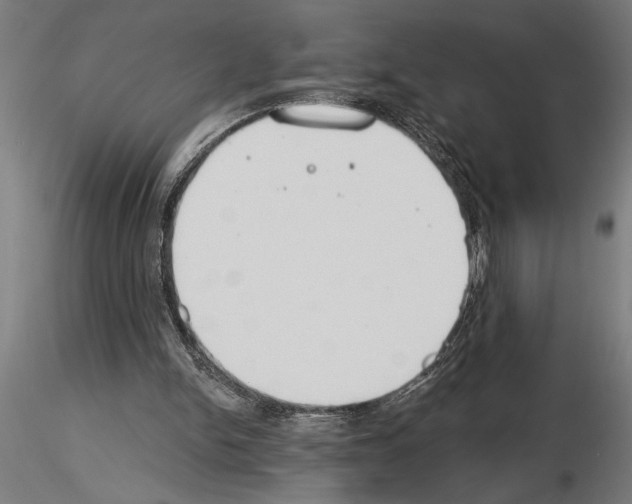 X0000115250150200912111125