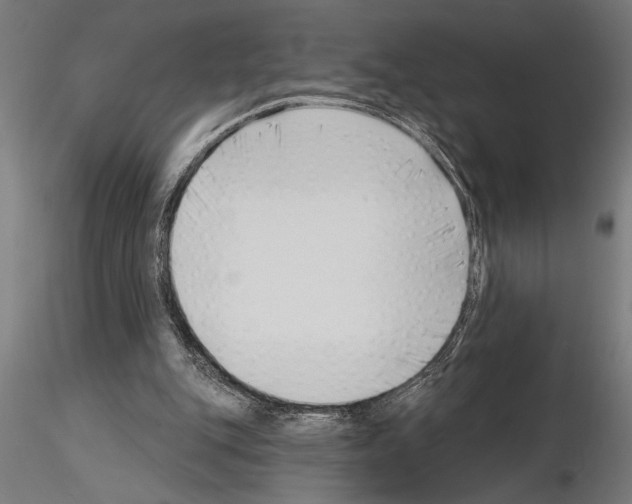 X0000115250151200912111125