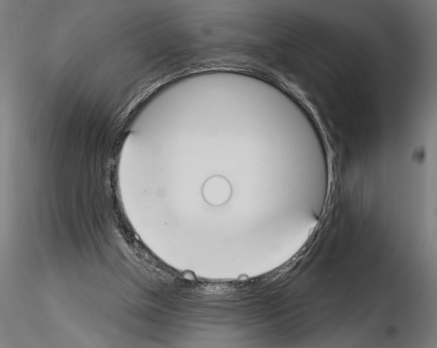 X0000115250154200912111125