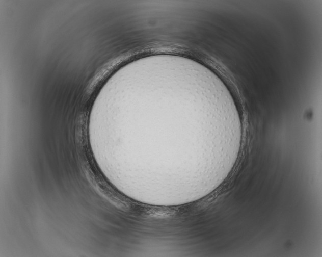 X0000115250155200912111125