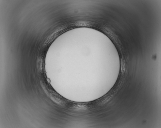 X0000115250157200912111125