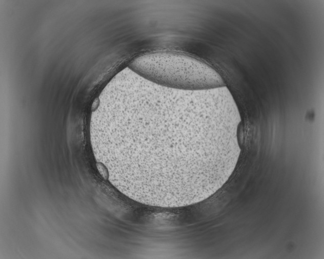 X0000115250158200912111125