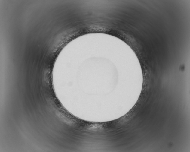 X0000115250162200912111125