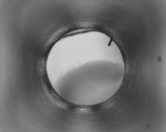 X0000115250163200912111125