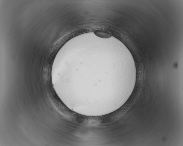 X0000115250165200912111125