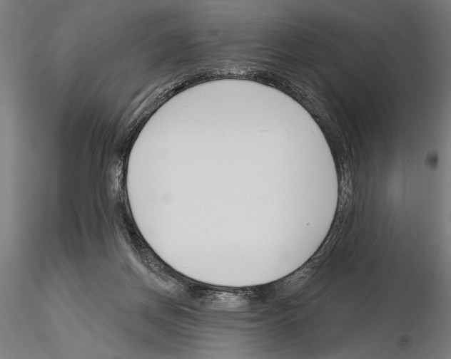 X0000115250166200912111125