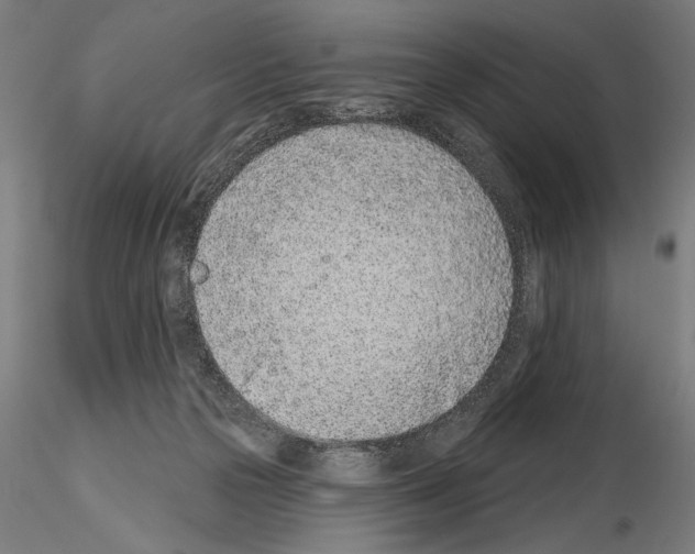 X0000115250169200912111125