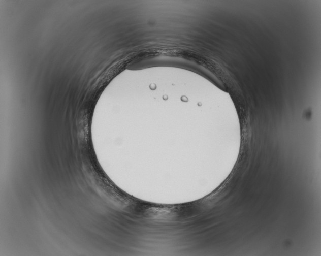 X0000115250170200912111125