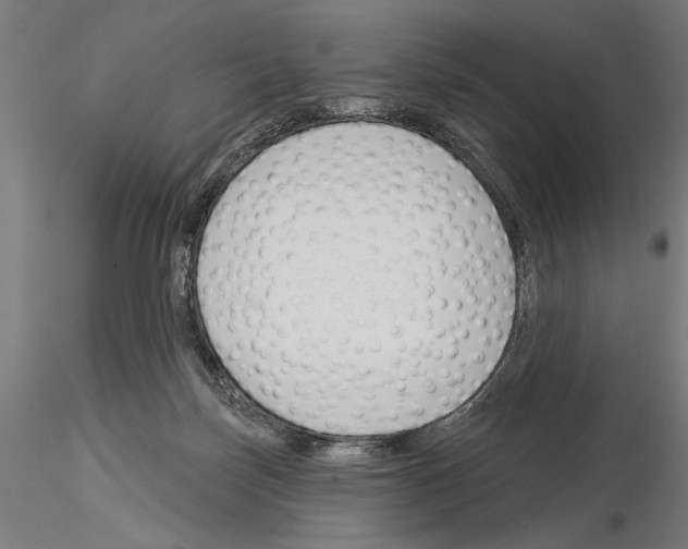 X0000115250171200912111125