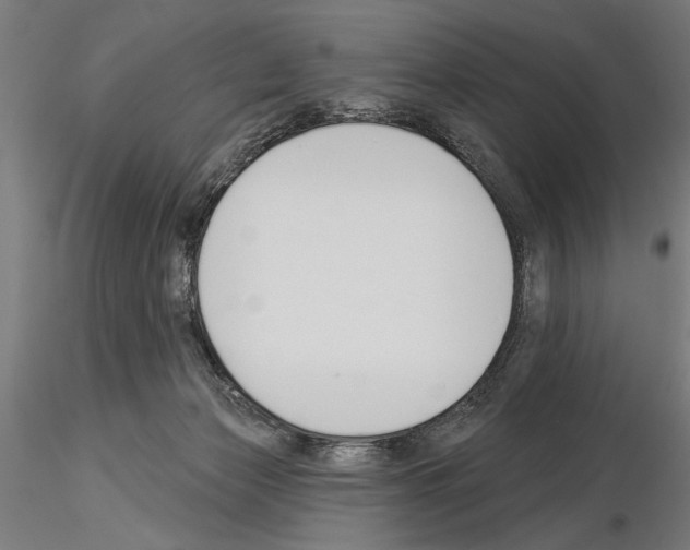 X0000115250173200912111125