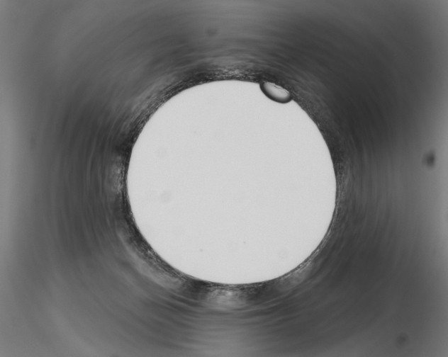 X0000115250174200912111125