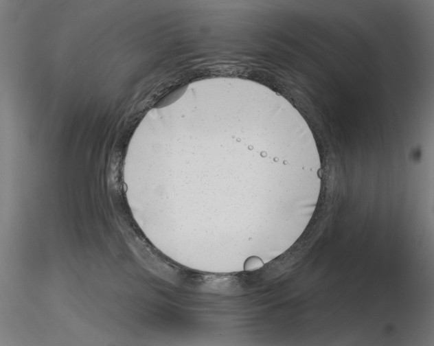 X0000115250185200912111125