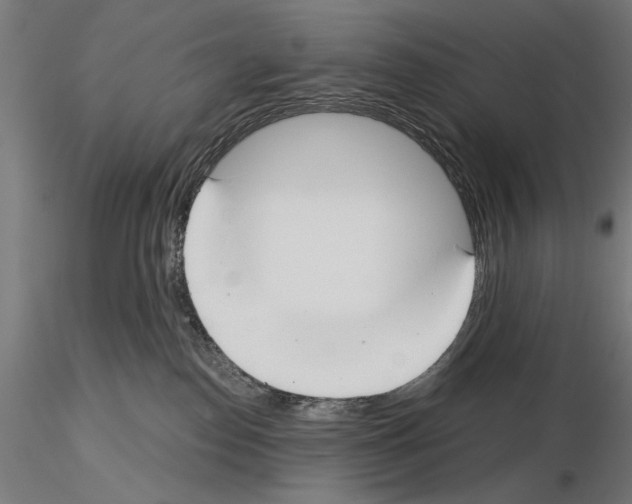 X0000115250186200912111125