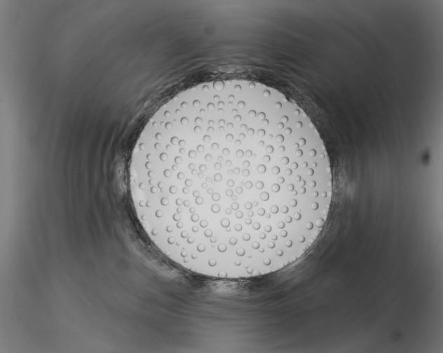 X0000115250187200912111125