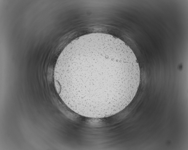 X0000115250189200912111125